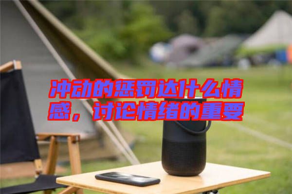 沖動的懲罰達(dá)什么情感,討論情緒的重要