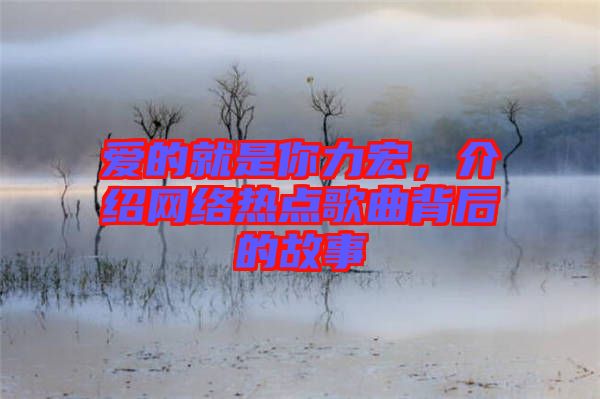 愛的就是你力宏，介紹網絡熱點歌曲背后的故事