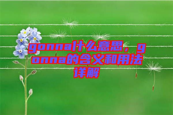 gonna什么意思，gonna的含義和用法詳解
