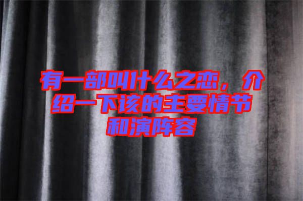 有一部叫什么之戀，介紹一下該的主要情節和演陣容