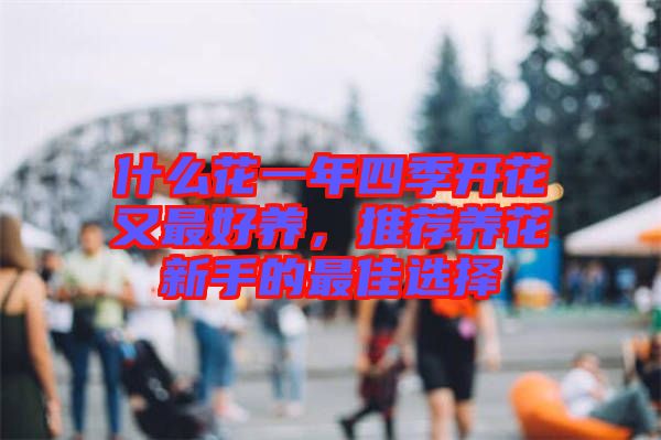 什么花一年四季開花又最好養，推薦養花新手的最佳選擇