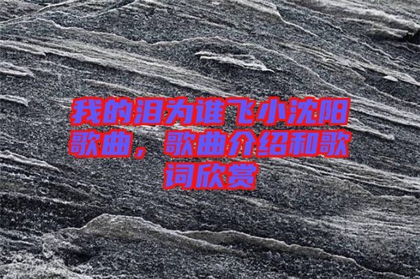 我的淚為誰飛小沈陽歌曲,歌曲介紹和歌詞欣賞
