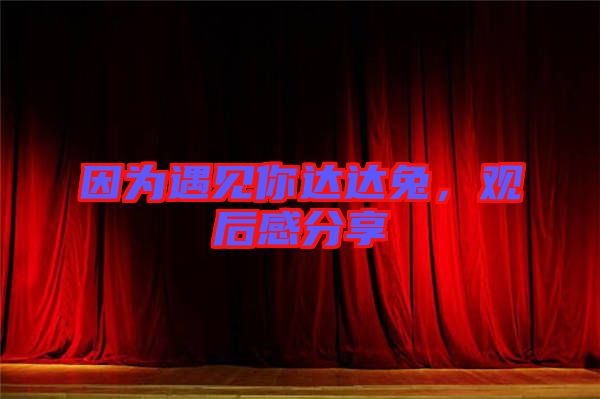 因為遇見你達達兔，觀后感分享