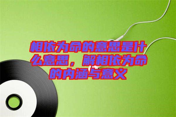 相依為命的意思是什么意思，解相依為命的內涵與意義