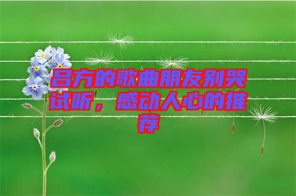 呂方的歌曲朋友別哭試聽,感動(dòng)人心的推薦