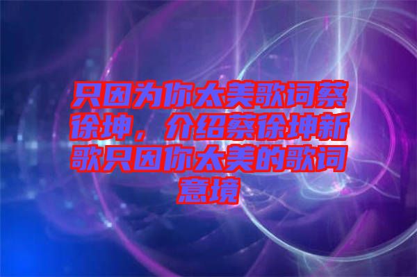 只因為你太美歌詞蔡徐坤,介紹蔡徐坤新歌只因你太美的歌詞意境