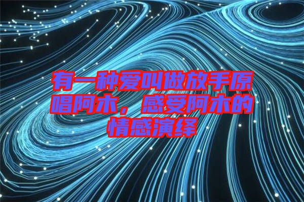 有一種愛叫做放手原唱阿木，感受阿木的情感演繹