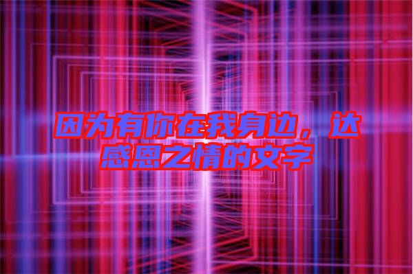 因?yàn)橛心阍谖疑磉叄_(dá)感恩之情的文字
