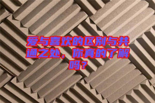 愛(ài)與喜歡的區(qū)別與共通之處，你真的了解嗎？