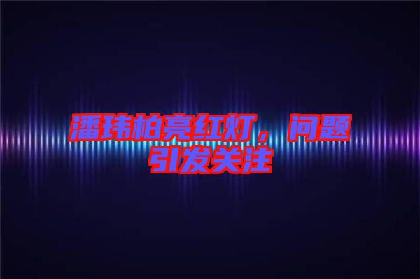潘瑋柏亮紅燈,問題引發(fā)關(guān)注