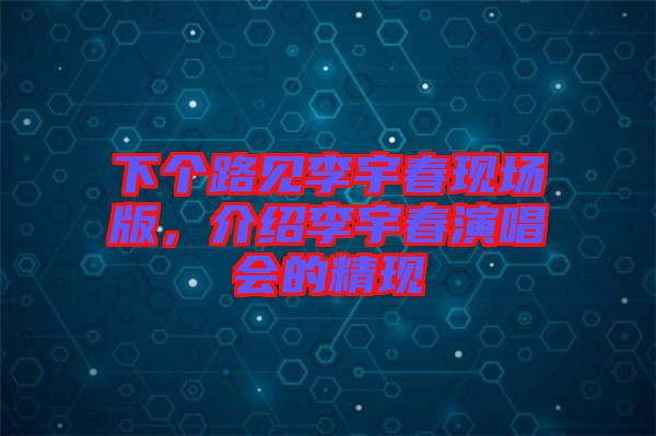 下個路見李宇春現場版，介紹李宇春演唱會的精現