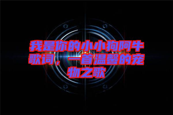 我是你的小小狗阿牛歌詞，一首溫馨的寵物之歌