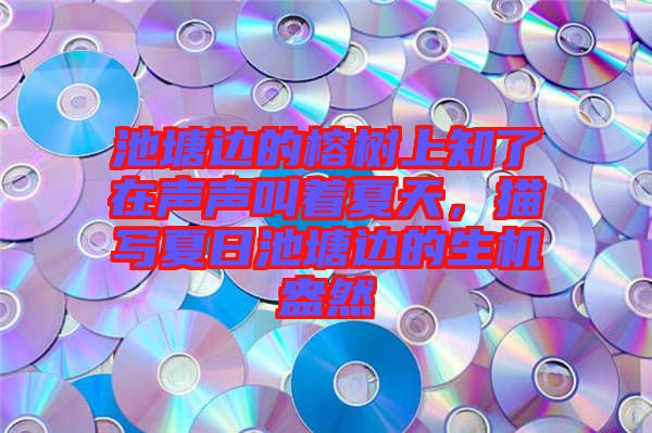 池塘邊的榕樹上知了在聲聲叫著夏天,描寫夏日池塘邊的生機(jī)盎然