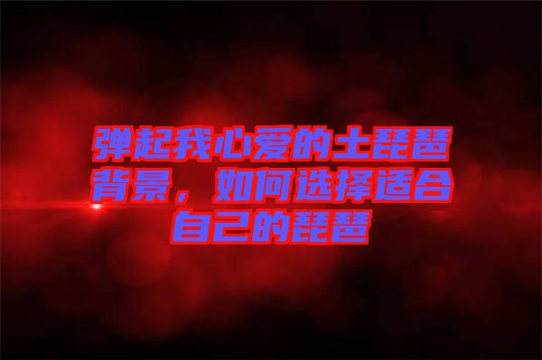 彈起我心愛的土琵琶背景,如何選擇適合自己的琵琶