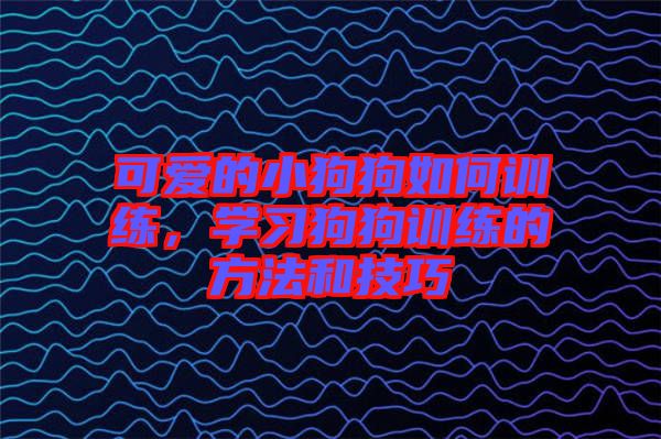 可愛的小狗狗如何訓練，學習狗狗訓練的方法和技巧