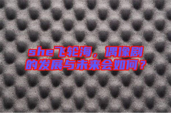 she飛輪海,偶像劇的發(fā)展與未來會如何?