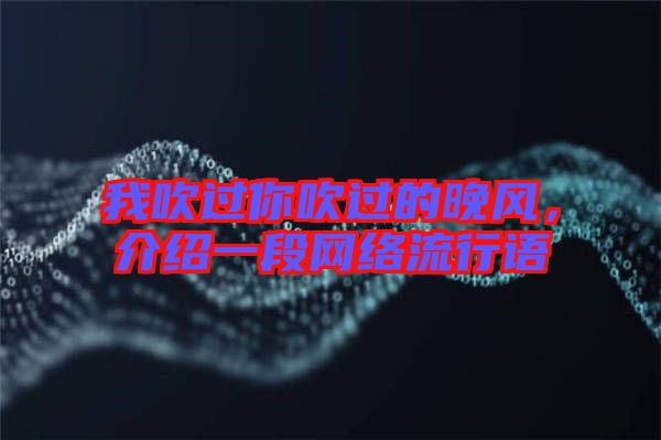 我吹過你吹過的晚風,介紹一段網絡流行語