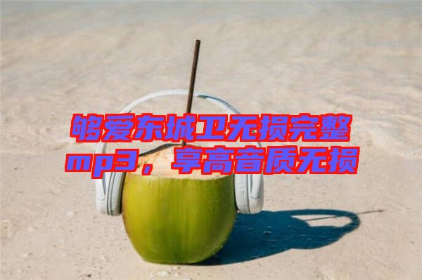 夠愛東城衛無損完整mp3,享高音質無損