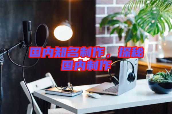 國內知名制作，探秘國內制作