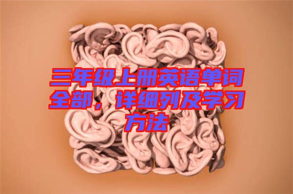 三年級(jí)上冊(cè)英語單詞全部，詳細(xì)列及學(xué)習(xí)方法