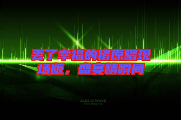 丟了幸福的豬原唱現(xiàn)場版,盛宴精瞬間