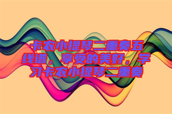 卡農小提琴二重奏五線譜，享受的美好，學習卡農小提琴二重奏