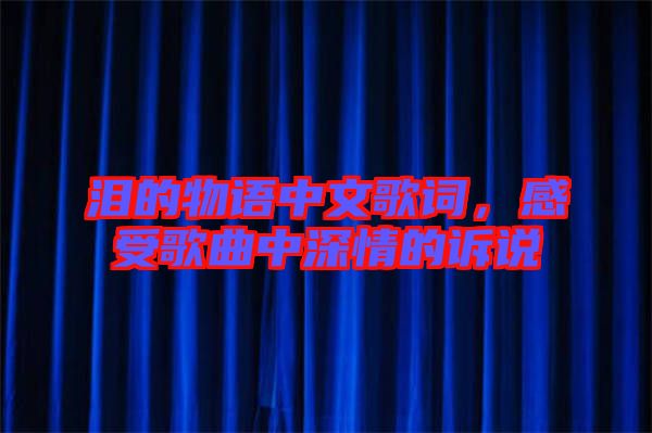 淚的物語(yǔ)中文歌詞,感受歌曲中深情的訴說(shuō)