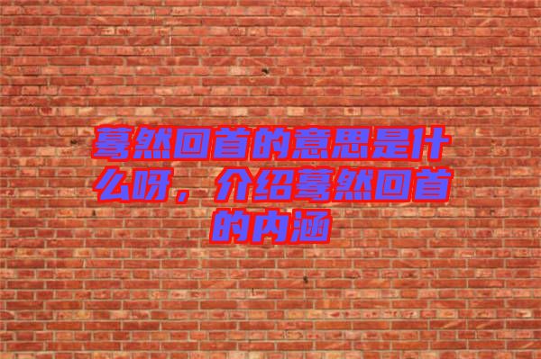 驀然回首的意思是什么呀,介紹驀然回首的內(nèi)涵