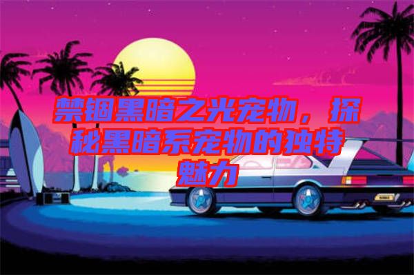 禁錮黑暗之光寵物，探秘黑暗系寵物的獨特魅力