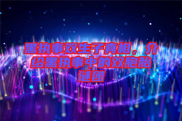 黑執事雙生子真相，介紹黑執事中的雙胞胎謎團