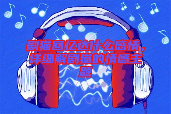 劇貓回憶達什么感情，詳細解劇貓的情感主題