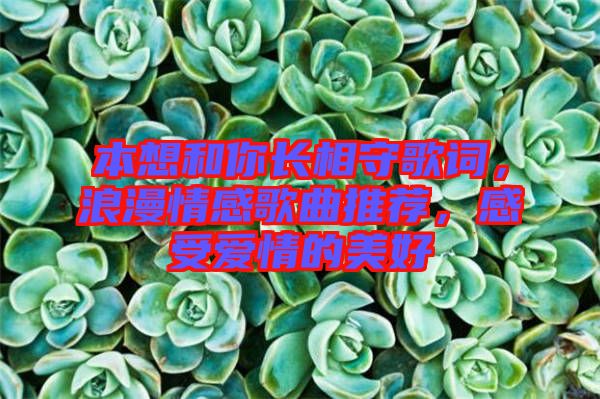 本想和你長(zhǎng)相守歌詞，浪漫情感歌曲推薦，感受愛(ài)情的美好