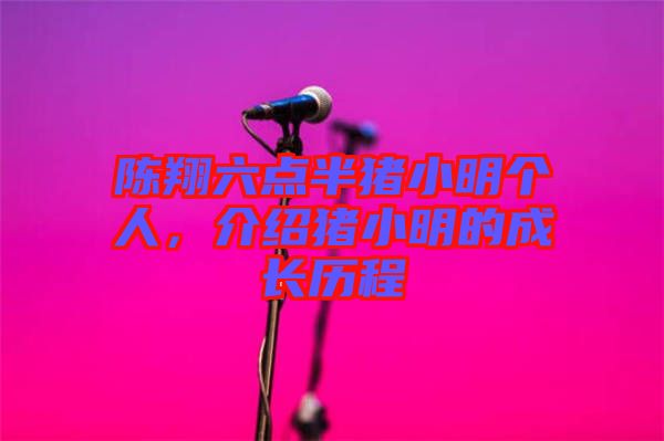 陳翔六點半豬小明個人，介紹豬小明的成長歷程