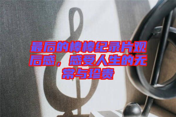 最后的棒棒紀(jì)錄片觀后感,感受人生的無常與珍貴