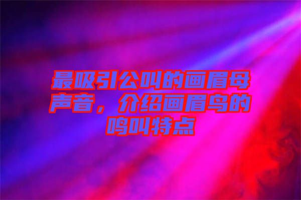 最吸引公叫的畫(huà)眉母聲音,介紹畫(huà)眉鳥(niǎo)的鳴叫特點(diǎn)
