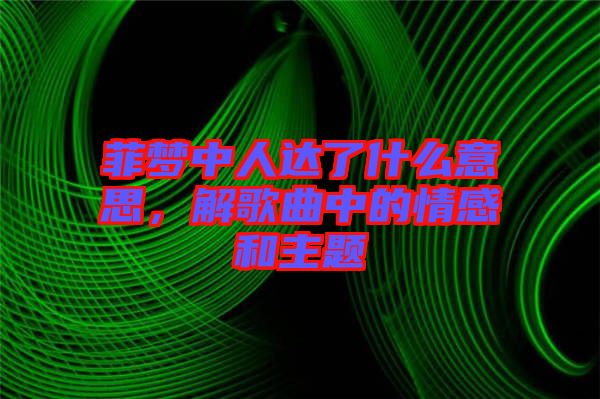 菲夢中人達了什么意思,解歌曲中的情感和主題