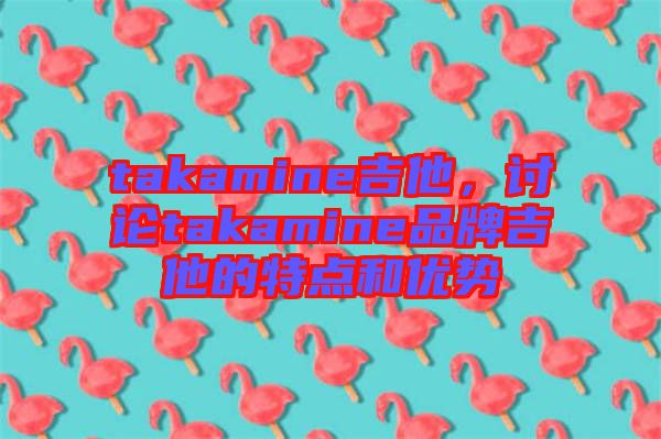 takamine吉他,討論takamine品牌吉他的特點和優(yōu)勢