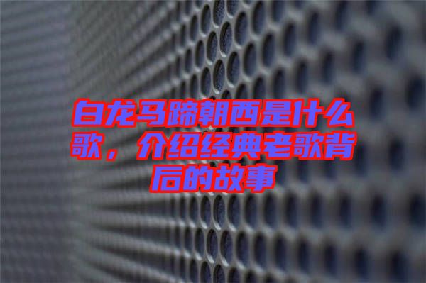 白龍馬蹄朝西是什么歌,介紹經典老歌背后的故事