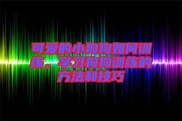可愛的小狗狗如何訓練,學習狗狗訓練的方法和技巧