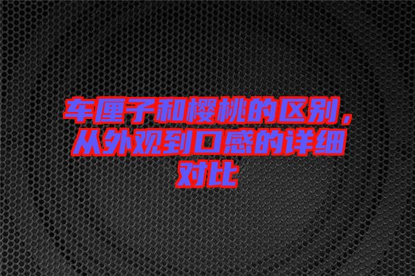 車厘子和櫻桃的區別，從外觀到口感的詳細對比
