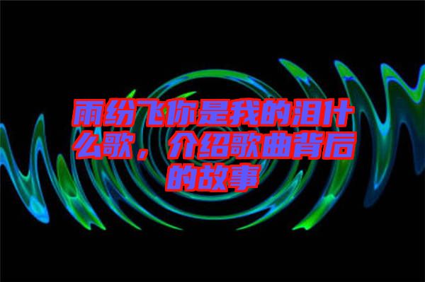 雨紛飛你是我的淚什么歌，介紹歌曲背后的故事