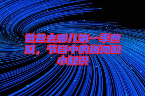 爸爸去哪兒第一季西瓜，節目中的趣聞和小知識