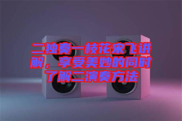 二獨奏一枝花宋飛講解，享受美妙的同時了解二演奏方法