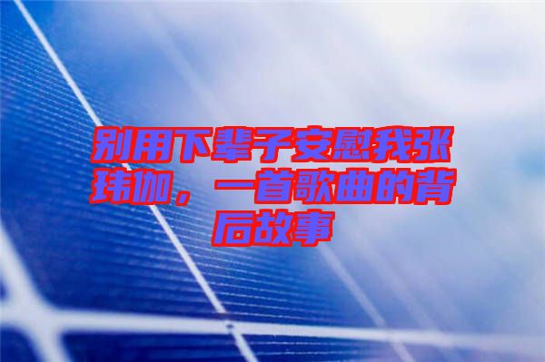 別用下輩子安慰我張瑋伽，一首歌曲的背后故事