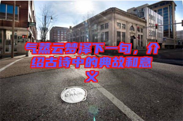氣蒸云夢(mèng)澤下一句,介紹古詩(shī)中的典故和意義