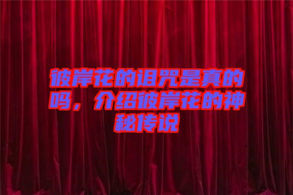彼岸花的詛咒是真的嗎,介紹彼岸花的神秘傳說(shuō)