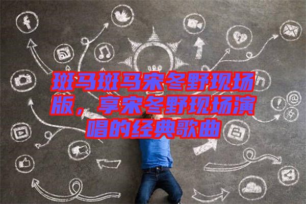 斑馬斑馬宋冬野現(xiàn)場版,享宋冬野現(xiàn)場演唱的經(jīng)典歌曲