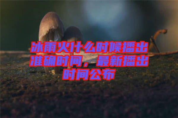 冰雨火什么時候播出準確時間，最新播出時間公布