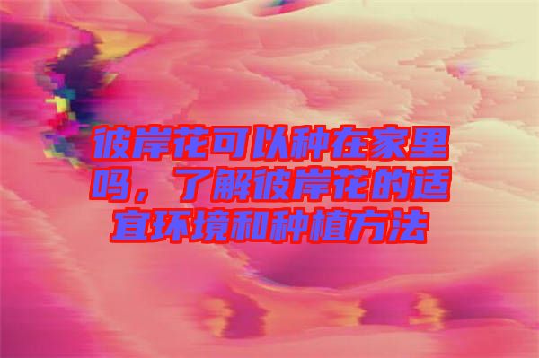 彼岸花可以種在家里嗎，了解彼岸花的適宜環境和種植方法