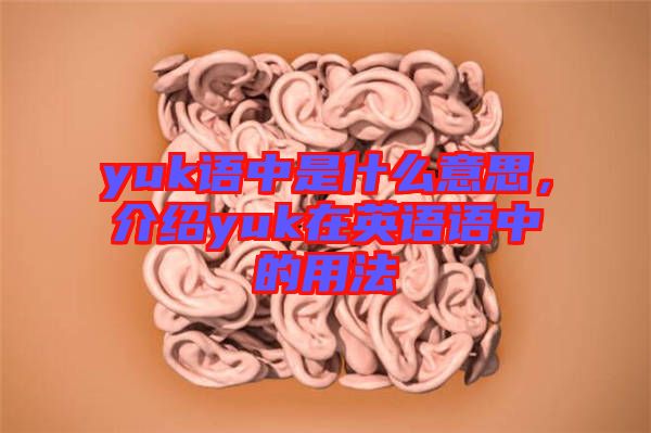yuk語中是什么意思，介紹yuk在英語語中的用法